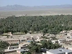 نمایی از نخلستان شهر گُشت