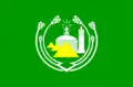 پرچم جیزه