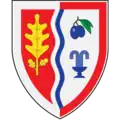 نشان ییگ
