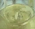 پس از افزودن همه محلول آلکیل برمید و هم خوردن، گرم کردن محلول تا لحظاتی ادامه می یابد.