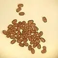 گرده‌های Delonix regia دیده‌شده با فولدسکوپ