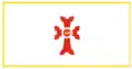 Flag of Gyumri