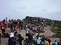 پوشیده شده از جعمیت کوهنورد