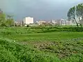 پیشروی طرح در مراتع
