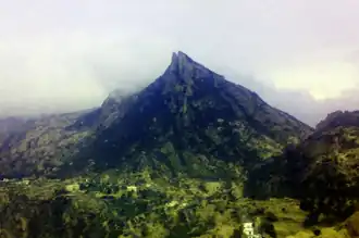 ذی عین