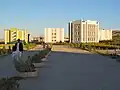 دانشگاه هرات