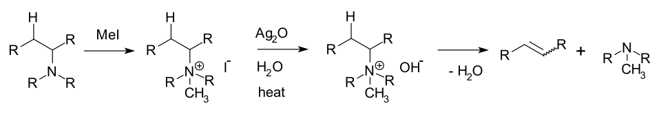 حذف هافمن