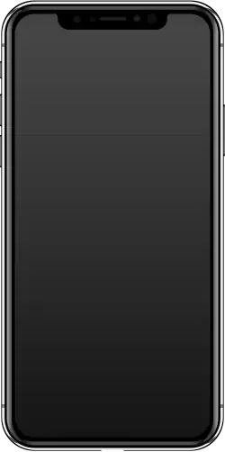 iPhone X in Silver