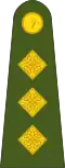 CaptaenIrish Army