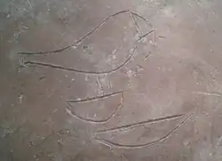 Signs r-Ḥr inscribed on a large vessel from the tomb of Iry-Hor, موزه اشمولین.