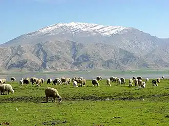 مراتع و کوه‌های برف گیر ایذه از نمای تالاب میانگران