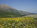طبيعت بکر جواهردشت