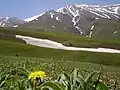 طبيعت بکر جواهردشت