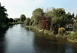 River Jizera in Nový Vestec