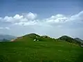 گردسایه ماکلوان