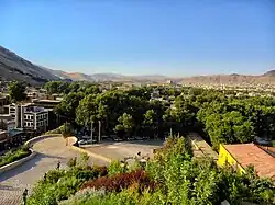 پوشش درختان مرکز شهر