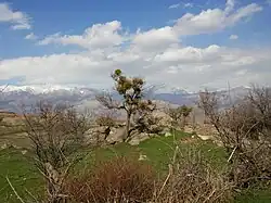 باغی در خسرود