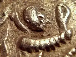 نمای نزدیک یک سکه