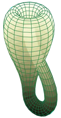 بطری کلاین
