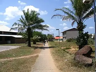 A view of the allée du Bac, in Kourou