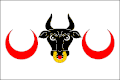 پرچم کرومسین