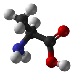 Ball-and-stick model of the L-isomer