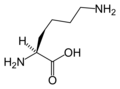 لیزین(Lys / K)