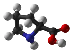 Ball and stick model of (S)-proline