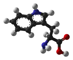 Ball-and-stick model of L-isomer