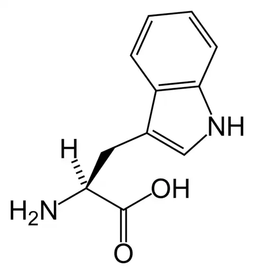 تریپتوفان(Trp / W)