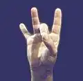 ۸