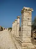 Street view (from Arch of Septimius Severus arch to Arch of Trajan)