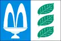 پرچم لیبنیتش