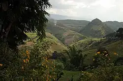View of a cultivated area from a road in Lincang