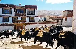 غژگاو in the Ganden Thubchen Choekhorling monastery courtyard
