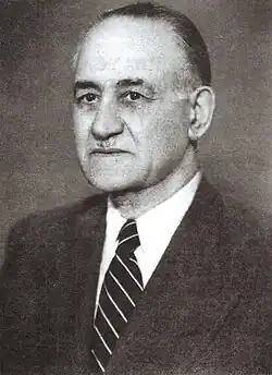 محمدامین رسول‌زاده، سیاستمدار