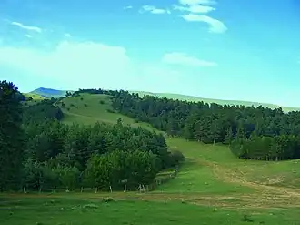 پیرامون مانگلیسی