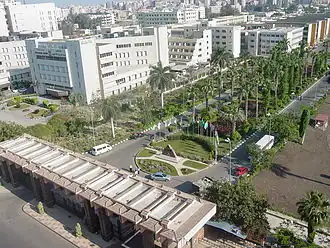 دانشگاه منصوره