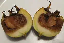 میوهای که از وسط نصف شده و بخشی از آن قهوهای شده که نشاندهندهٔ فرایند رسیدگی است.
