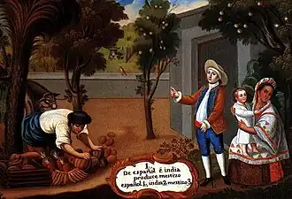 De español e india, produce mestizo (از اسپانیایی با سرخ‌پوست؛ مستیزو).
