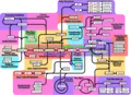 مسیرهای اصلی متابولیک داخل سلولی