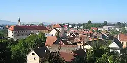 Metlika