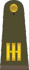 CapitánMexican Army