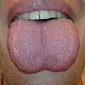 human tongue