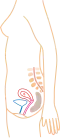 ماه اول (تصویر سادهشده)