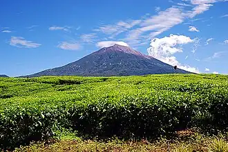 Mount Kerinci، بلندترین قله در جزیره سوماترا