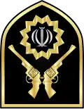 نشان یقه رسته پلیس پیشگیری
