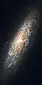 NGC 6503 توسط تلسکوپ فضایی هابل
