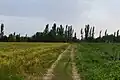 روستای نانسا