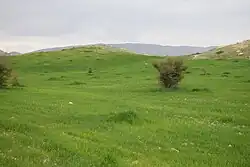 طبیعت دشت‌های اطراف کازرون